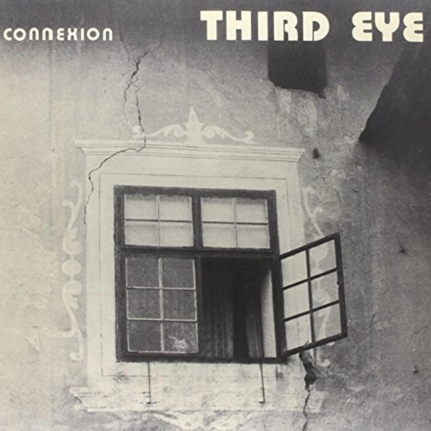 Third Eye Connexion Vinyl Record