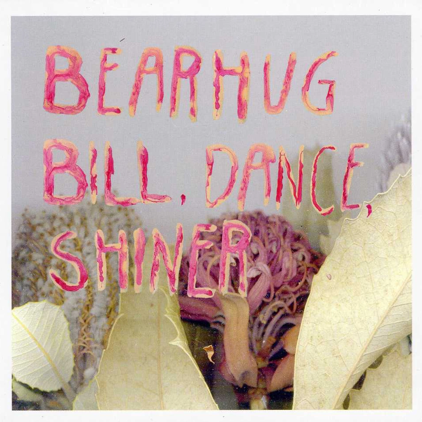 Bearhug BILL DANCE SHINER CD