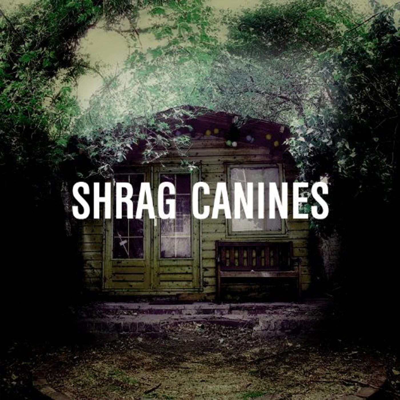 Shrag Canines Vinyl Record