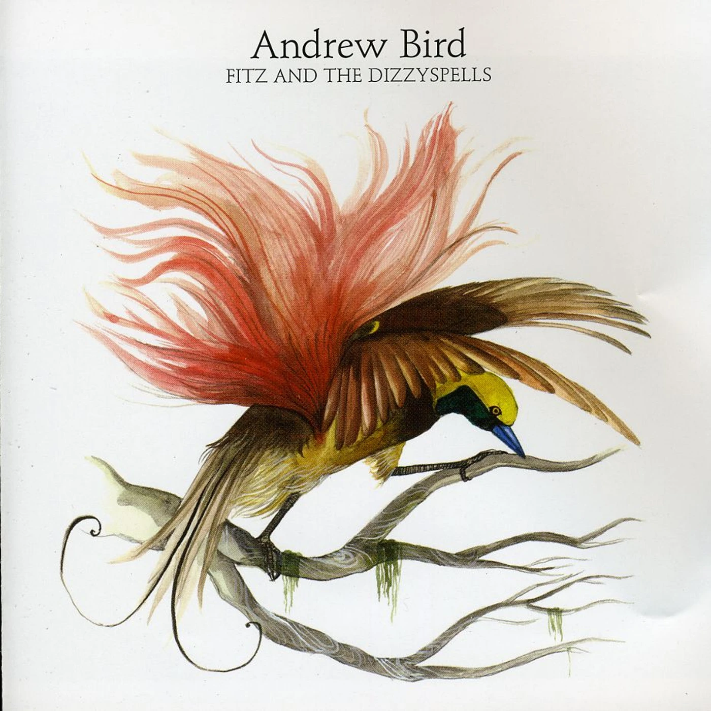 Andrew Bird FITS & DIZZY SPELLS EP CD