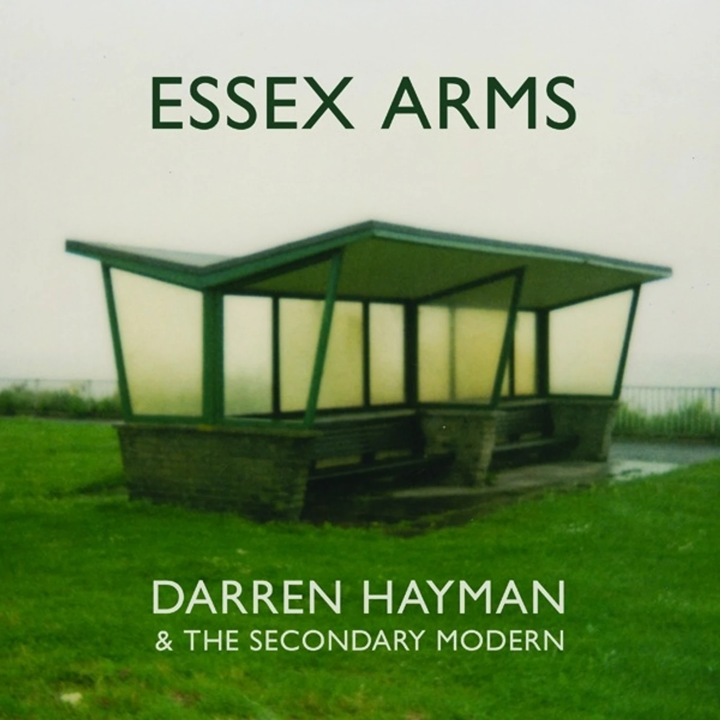 Darren Hayman & The Secondary Modern Essex Arms Vinyl Record