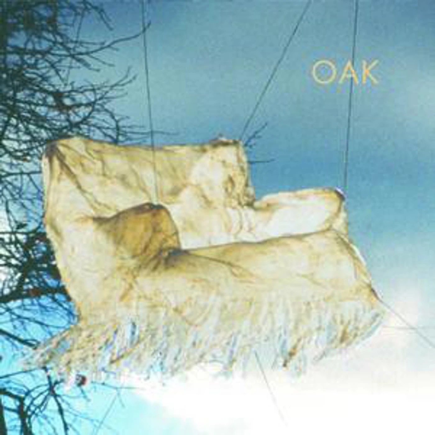 Oak Building Steam Vinyl Record