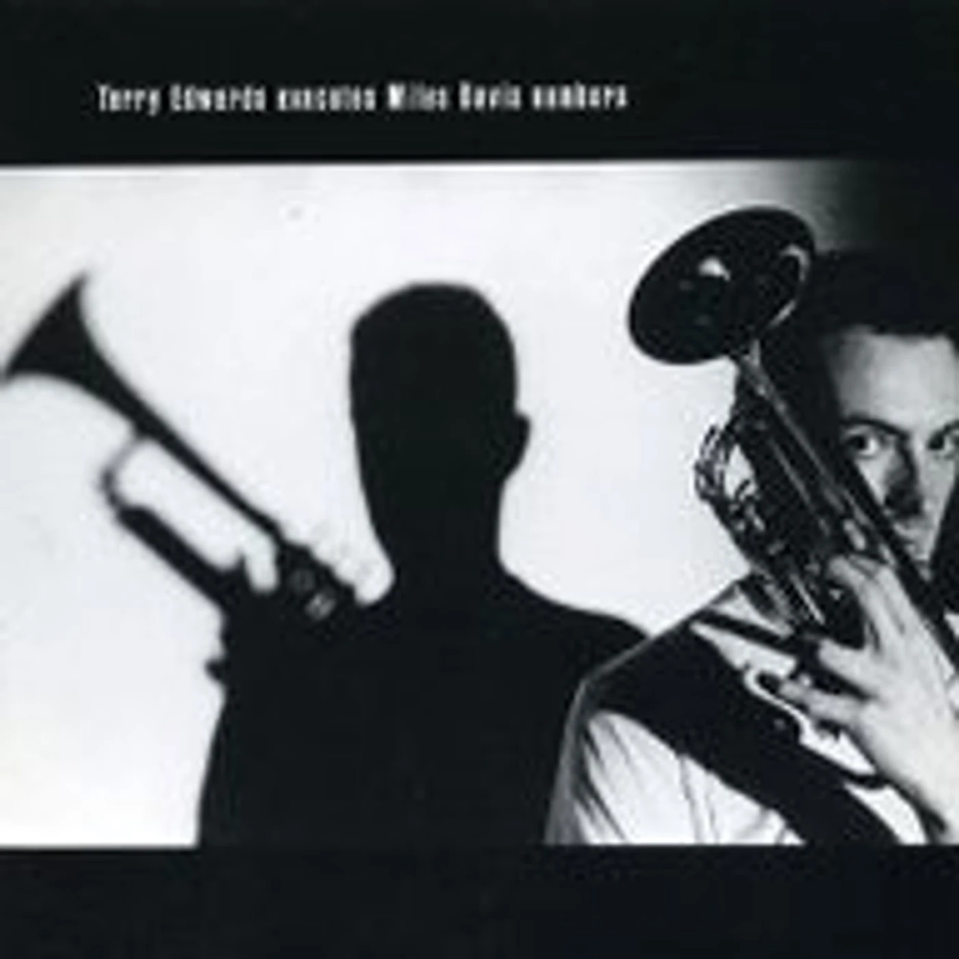 Terry Edwards EXECUTES MILES Vinyl Record