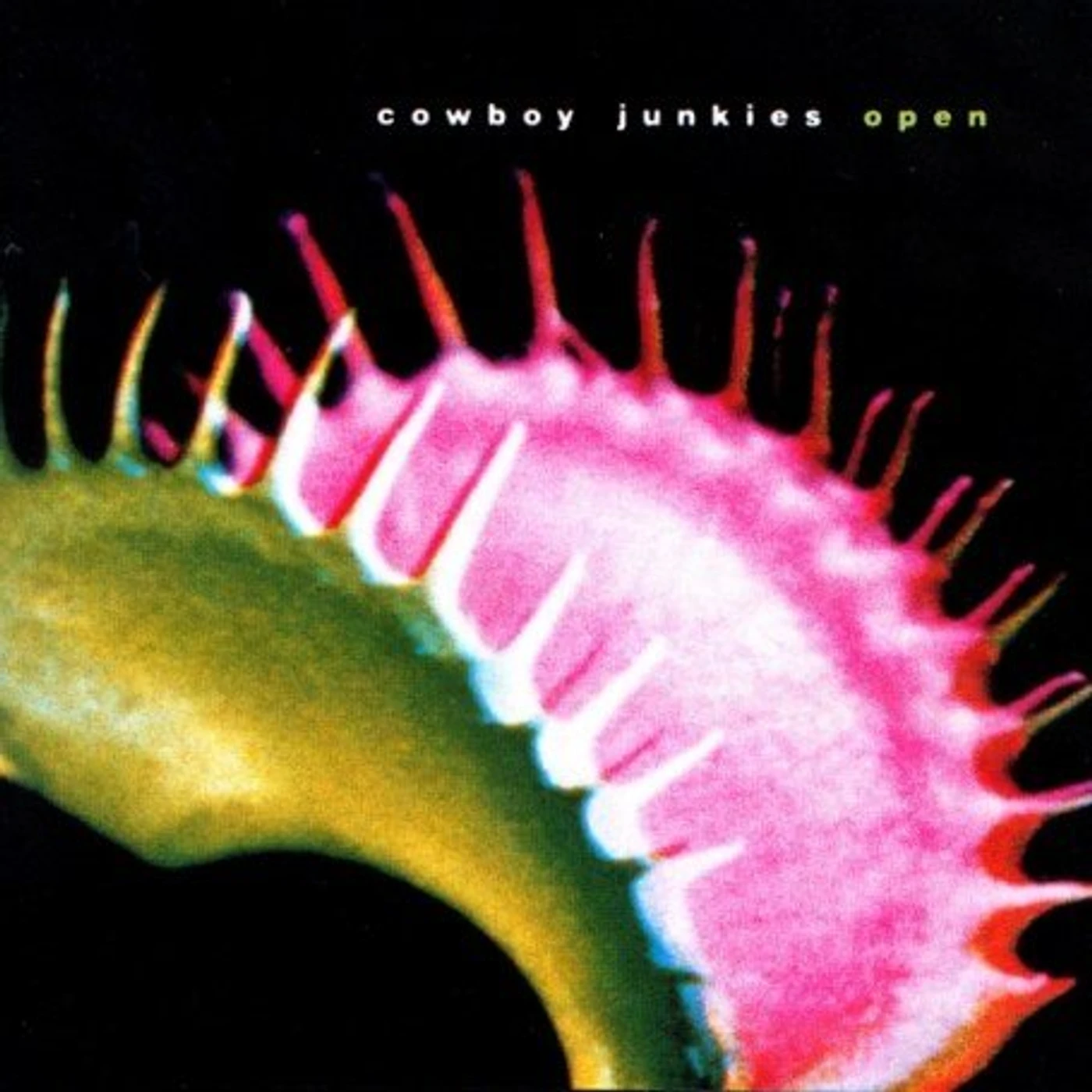 Cowboy Junkies OPEN CD