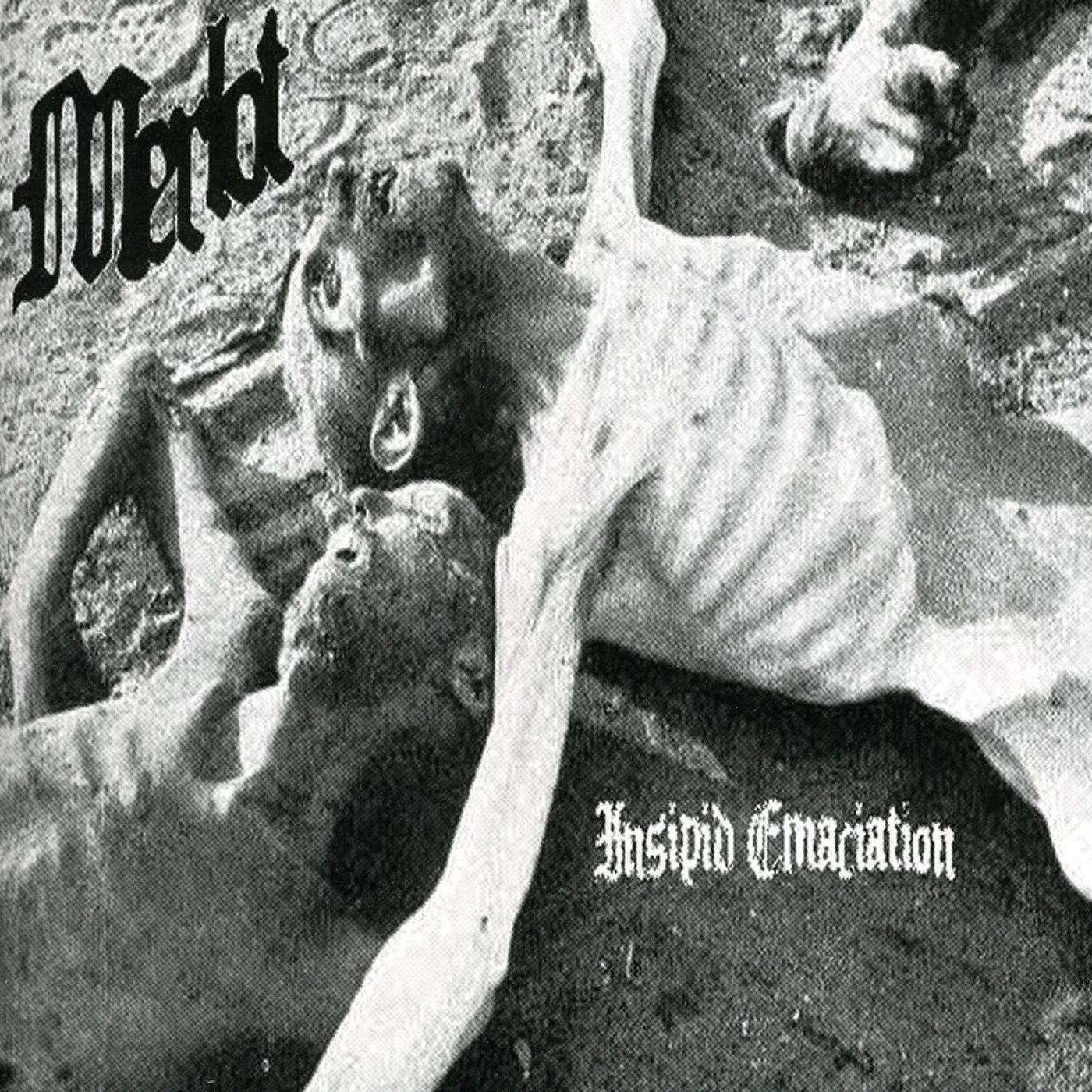 MERLOT INSIPID EMACIATION CD