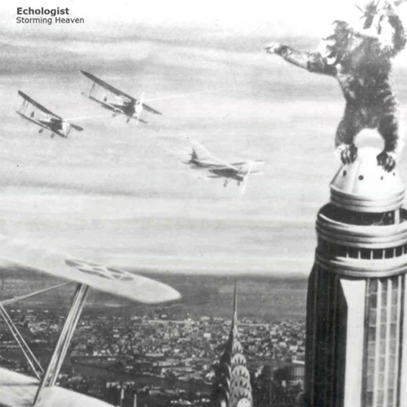 Echologist Storming Heaven Vinyl Record