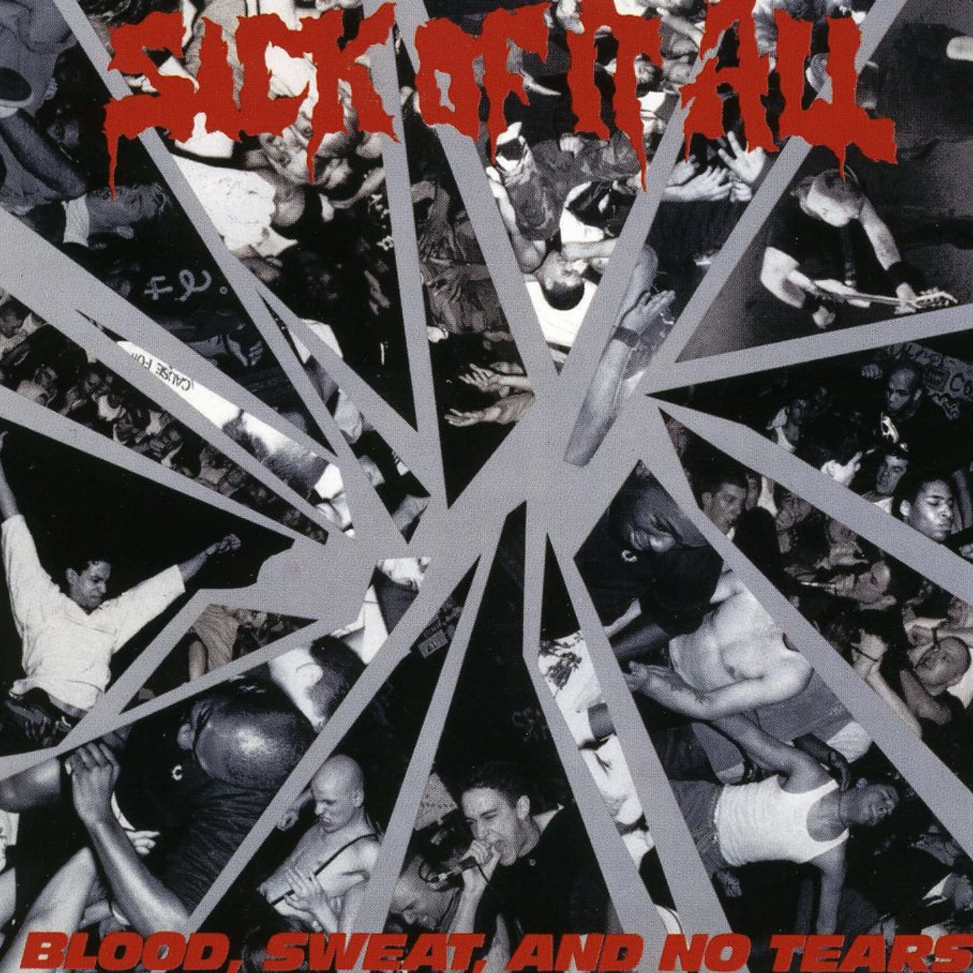 Sick Of It All BLOOD SWEAT & NO TEARS CD - Holland Release