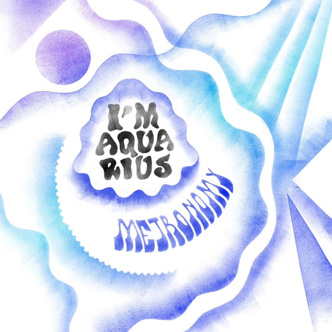 Metronomy I'm Aquarius Vinyl Record