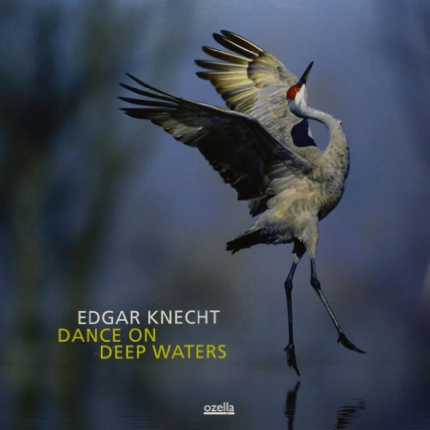 Edgar Knecht Dance On Deep Waters Vinyl Record