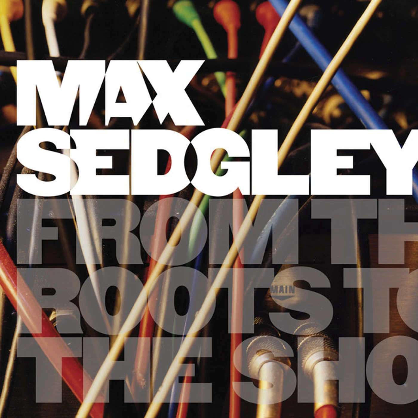Max Sedgley FROM THE ROOTS TO SHOOTS CD