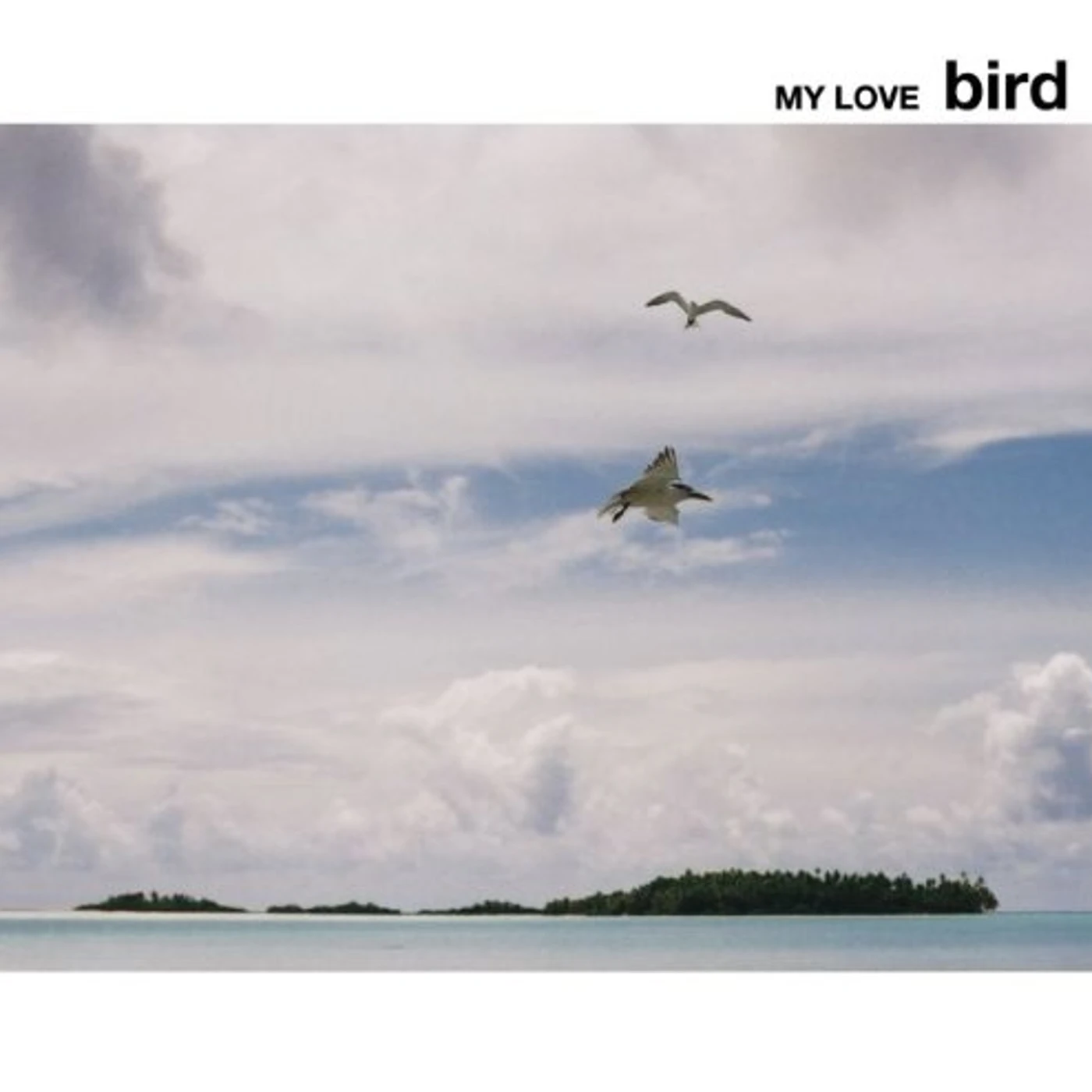 Bird MY LOVE CD