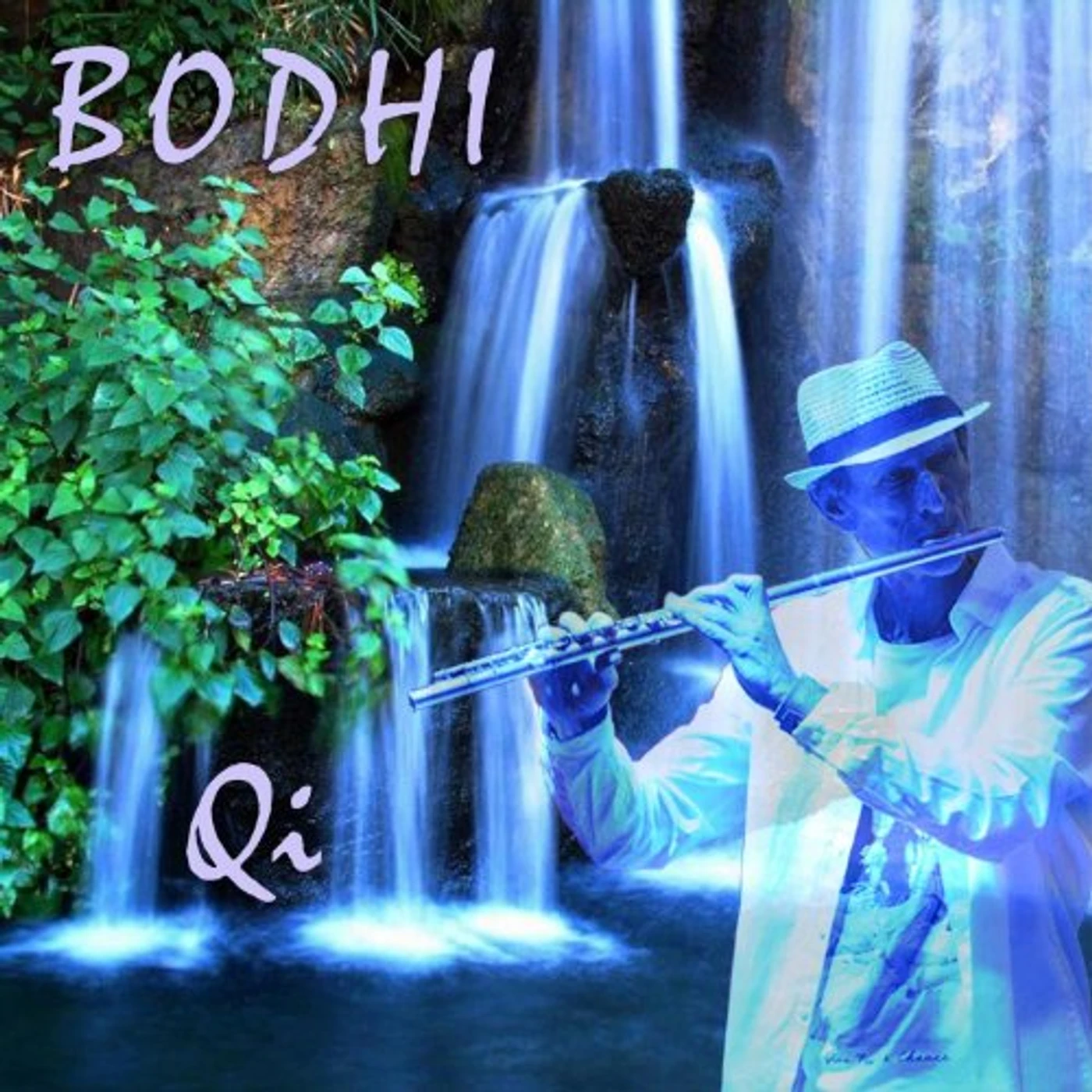 Bodhi QI CD