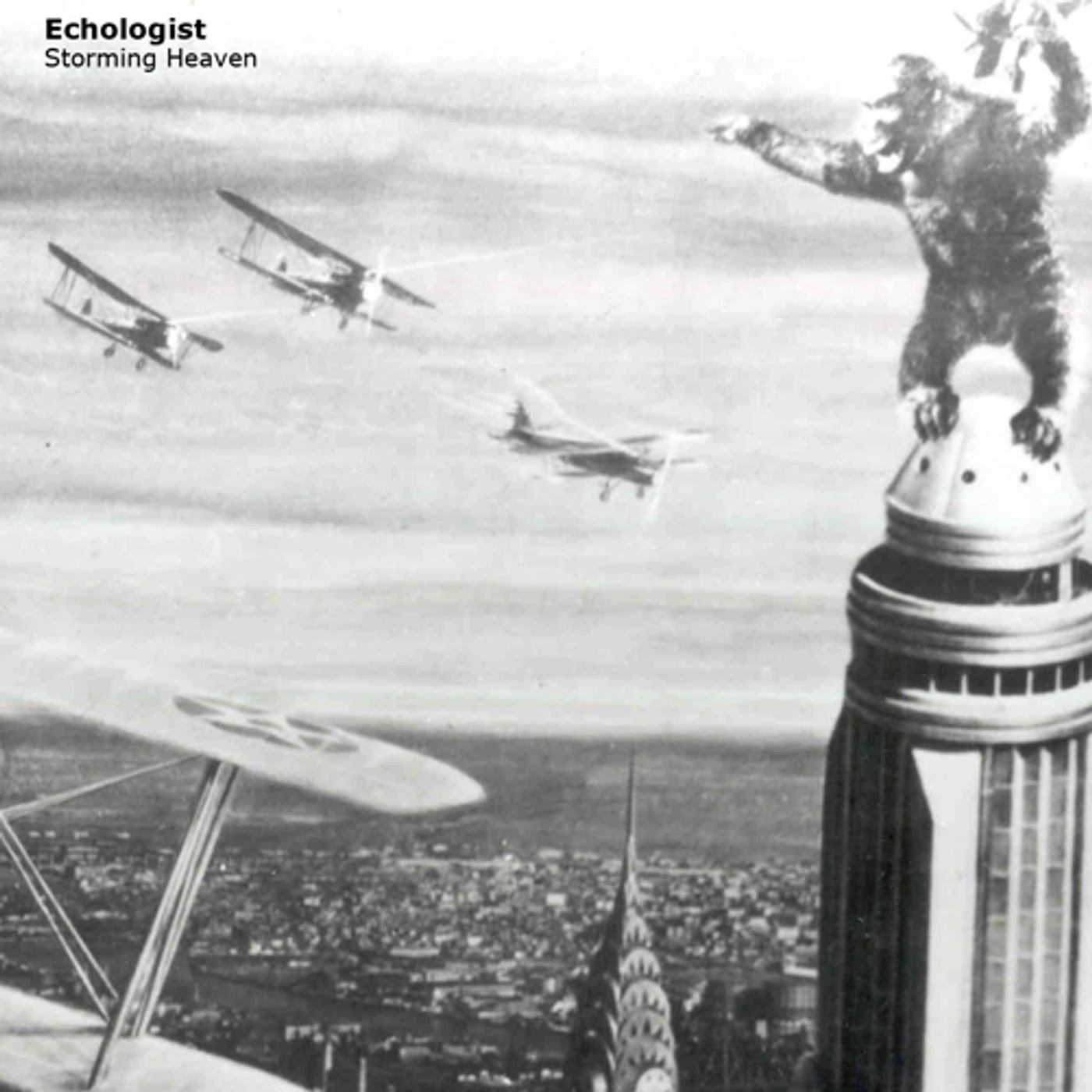 Echologist STORMING HEAVEN CD