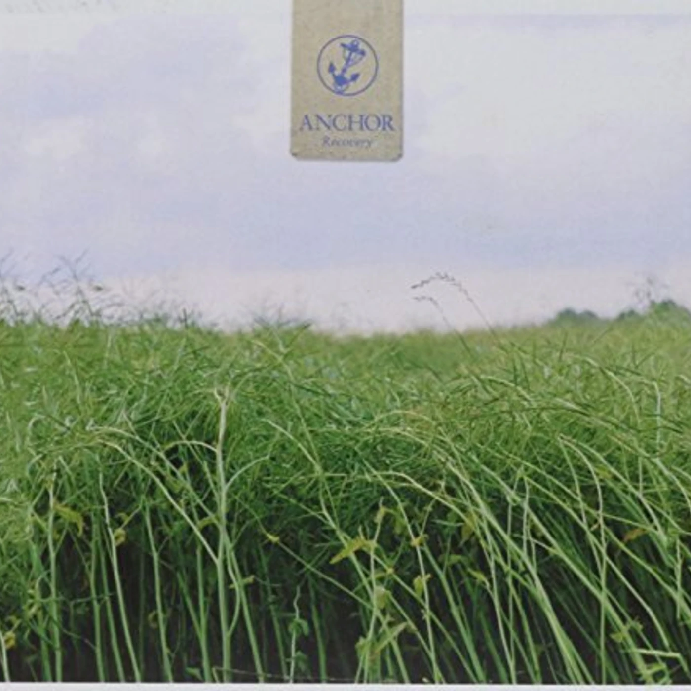 Anchor RECOVERY CD