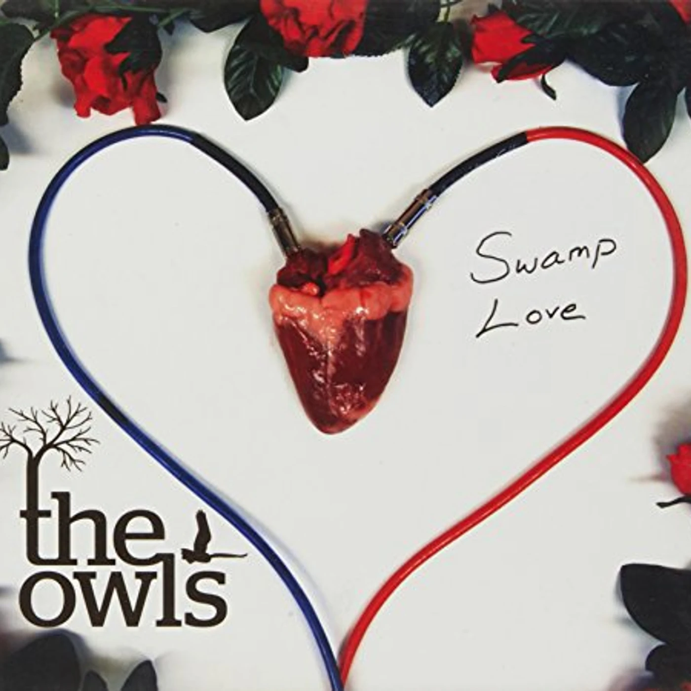 OWLS SWAMP LOVE EP CD