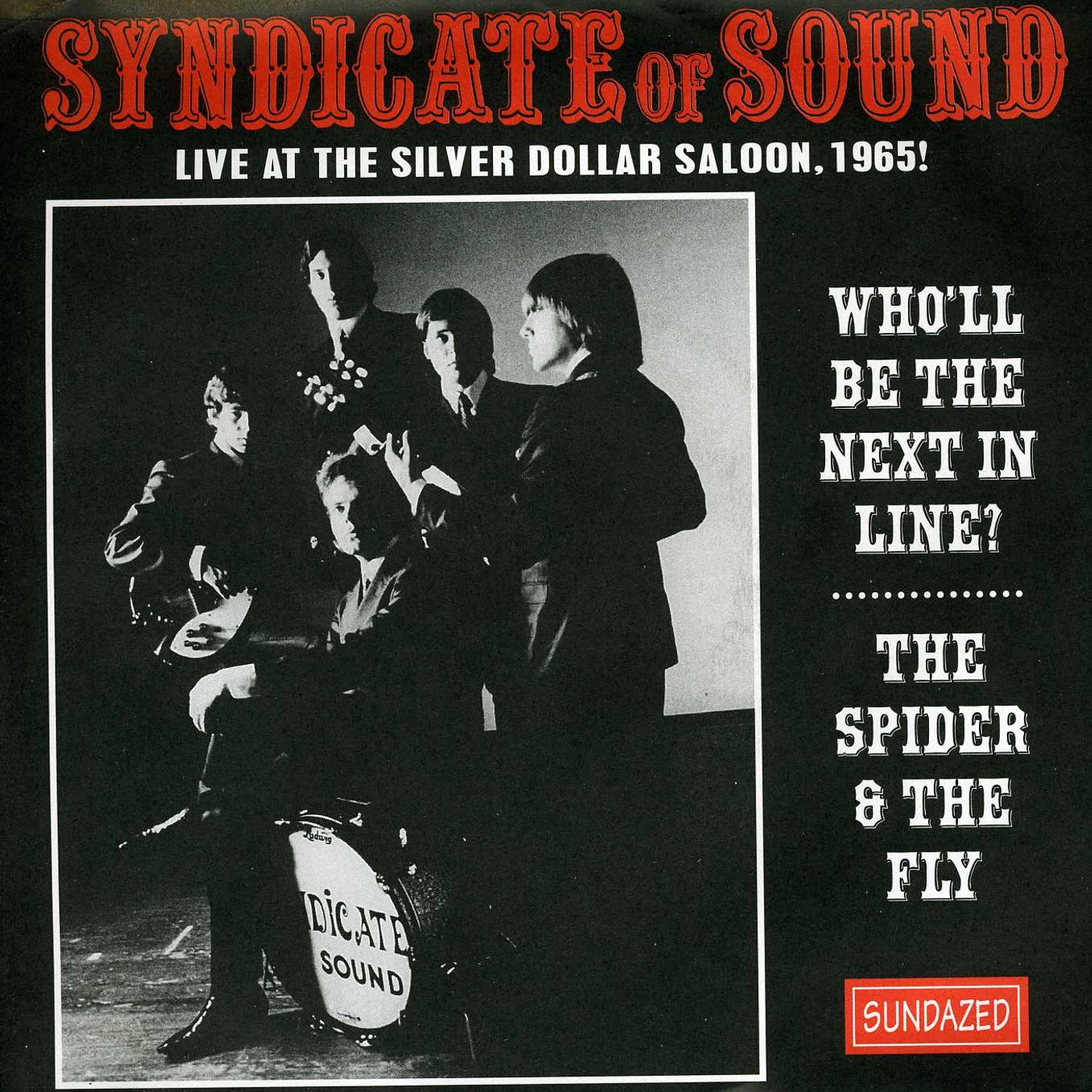 Syndicate Of Sound WHOLL BE THE NEXT IN LINE/THE SPIDER Vinyl Record