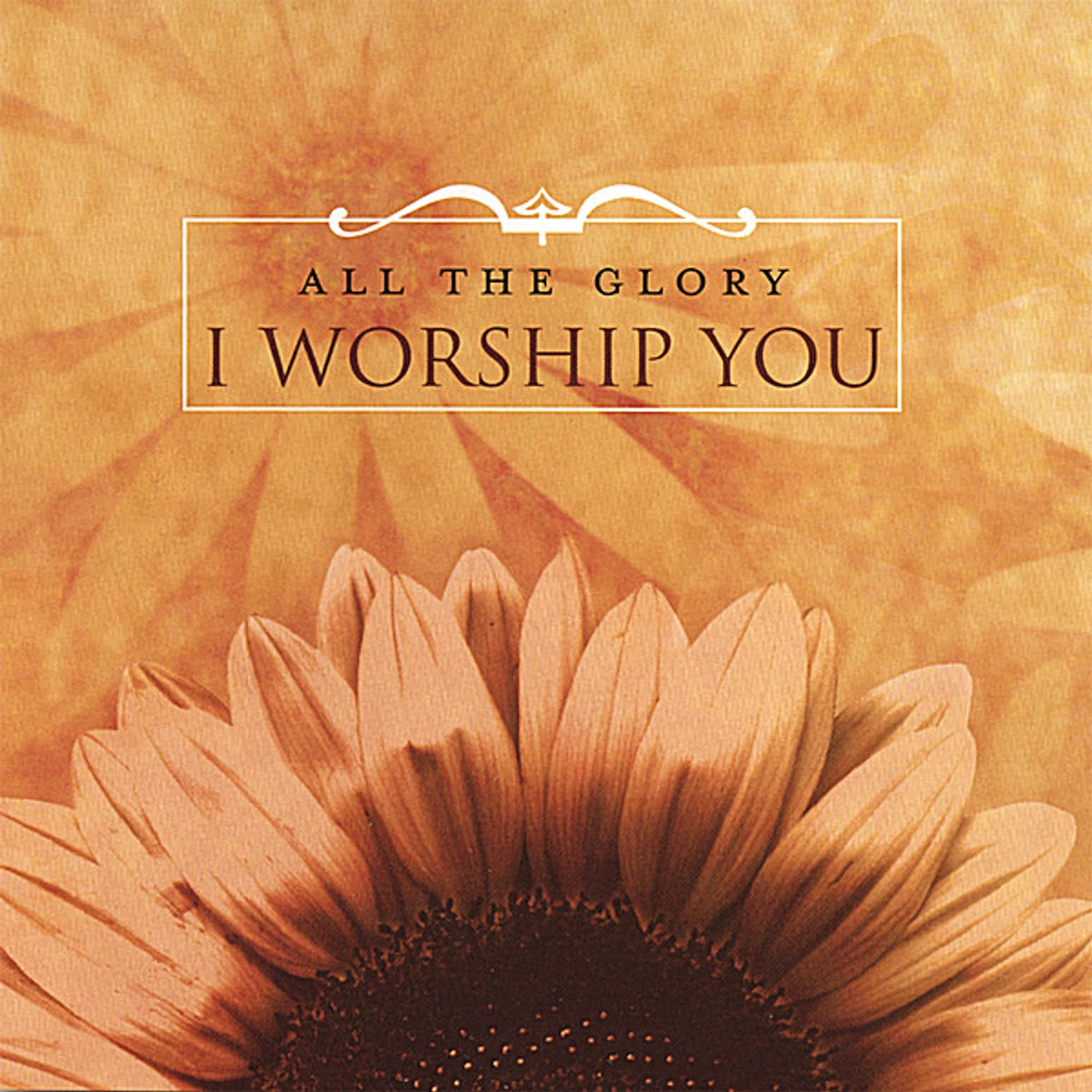 All The Glory I WORSHIP YOU CD