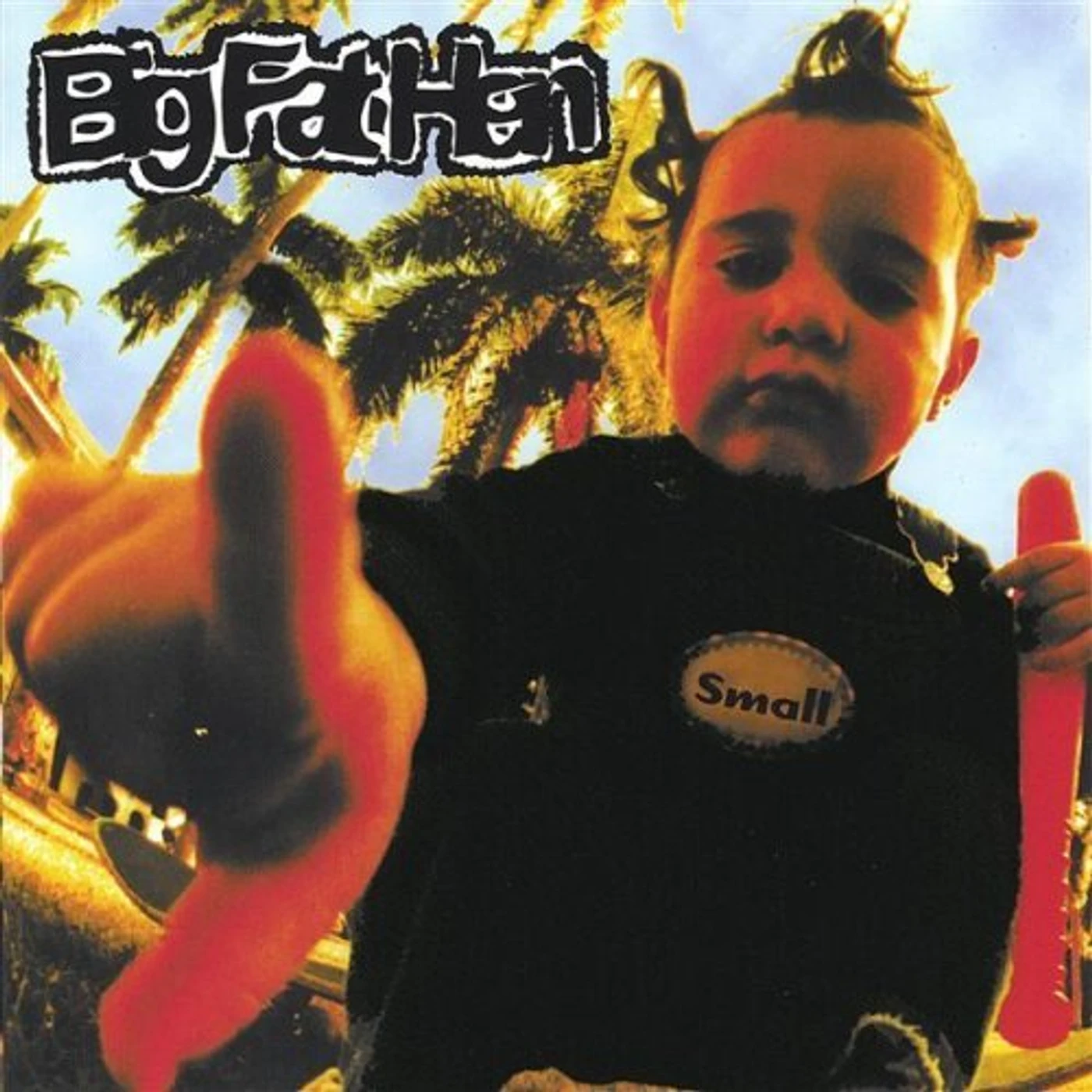 Big Fat Hen SMALL CD