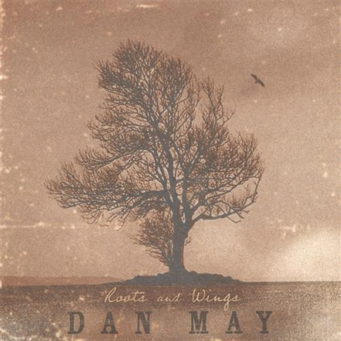 Dan May ROOTS & WINGS CD