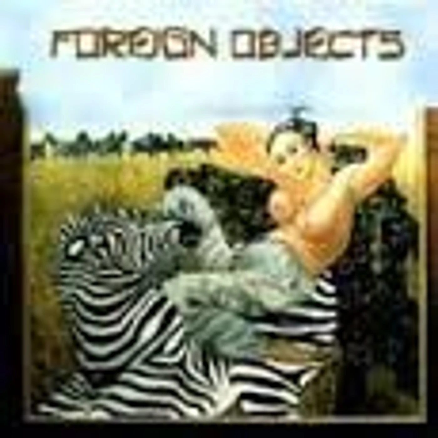 FOREIGN OBJECTS CD