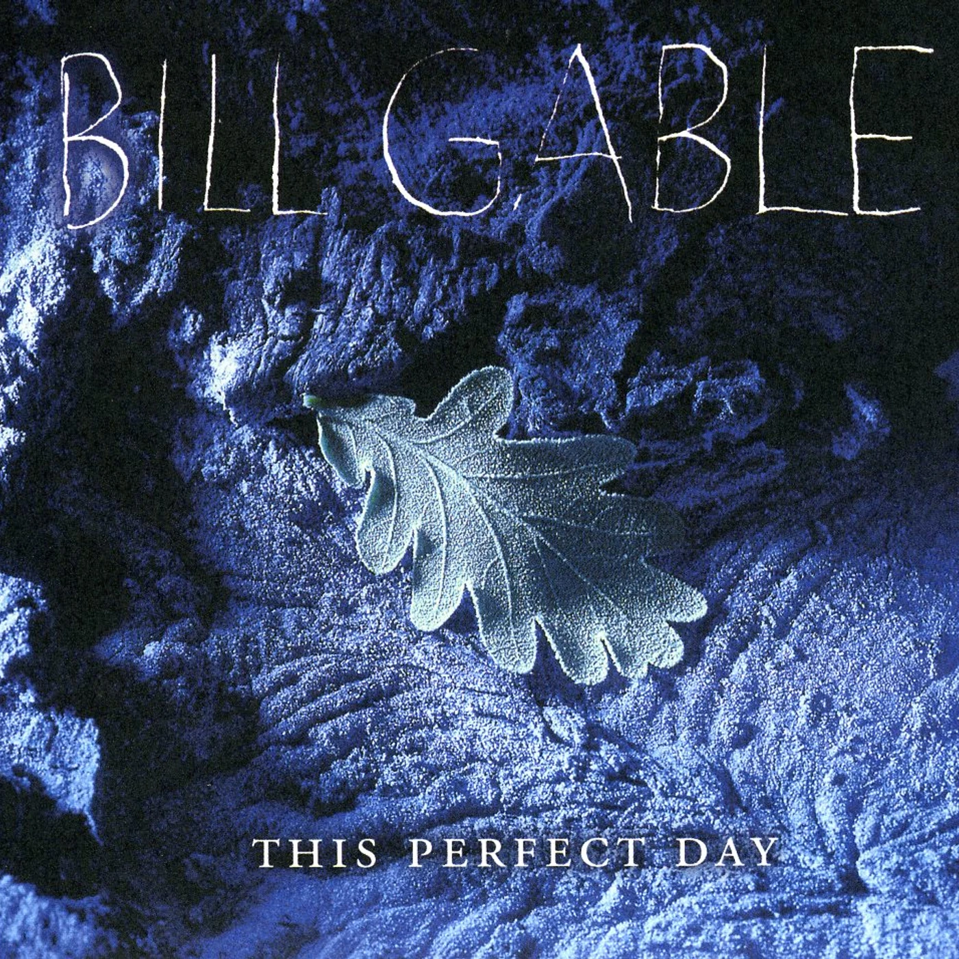 Bill Gable THIS PERFECT DAY CD