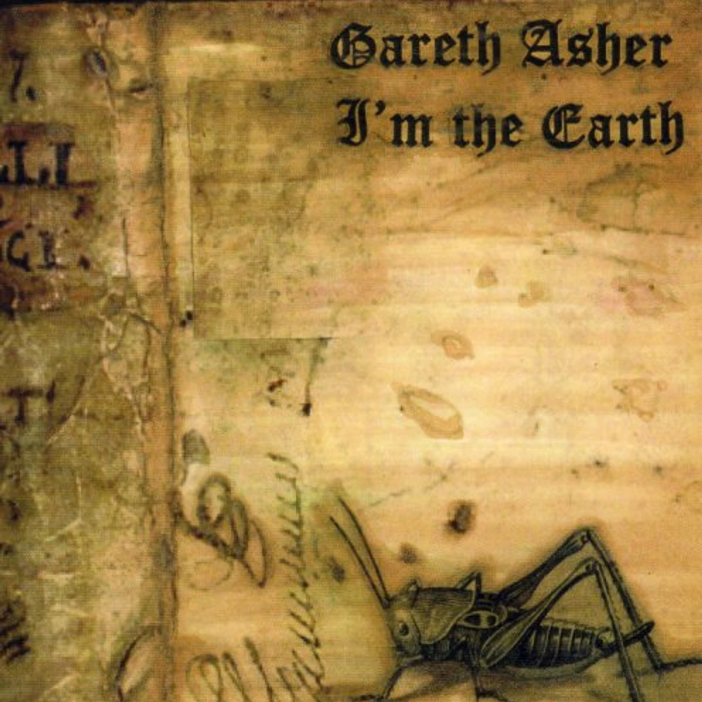 Gareth Asher I'M THE EARTH CD
