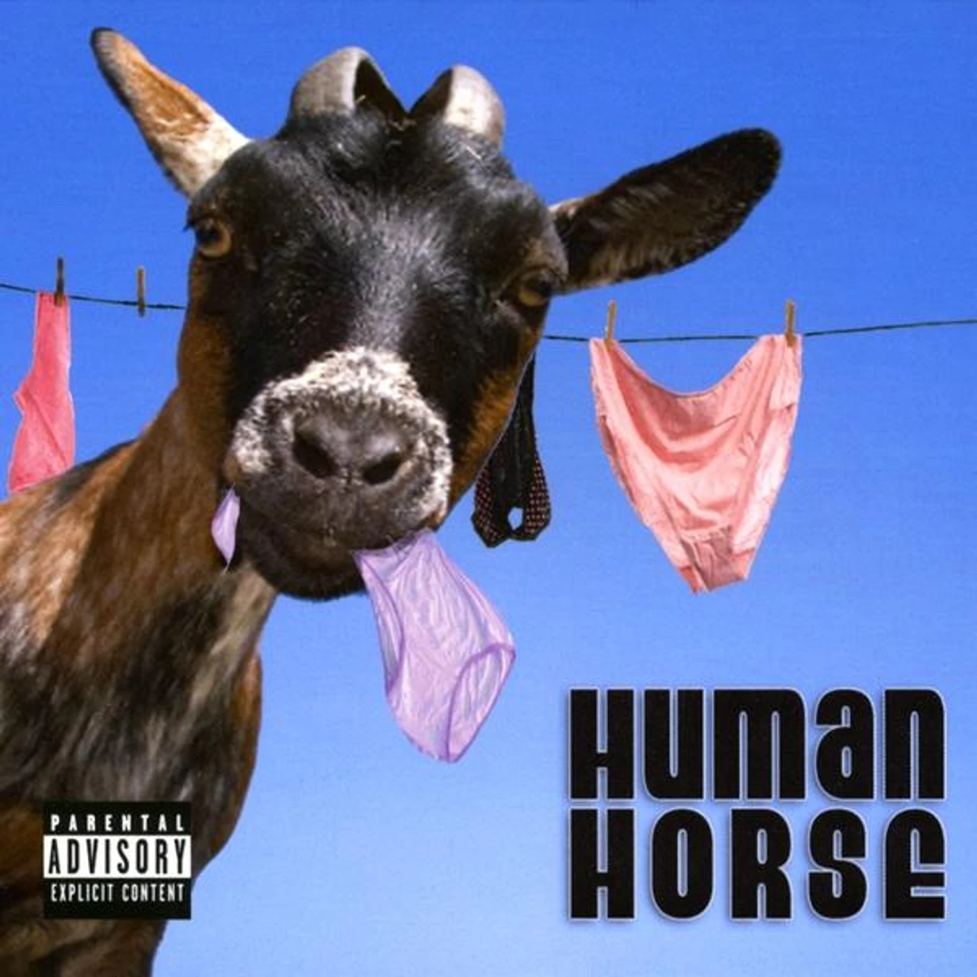 Human Horse MASSIVE OF COURSE CD