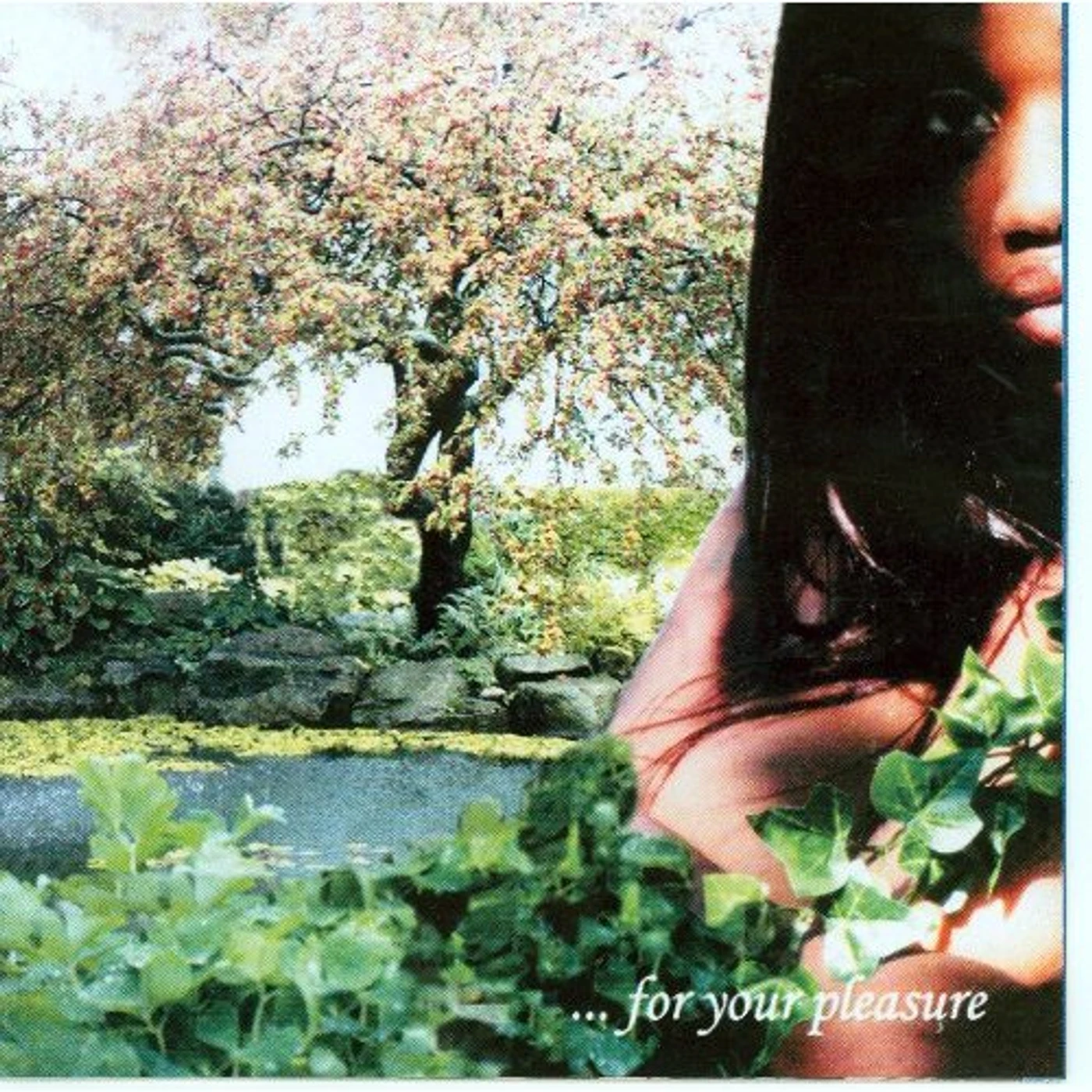 Rib FOR YOUR PLEASURE CD