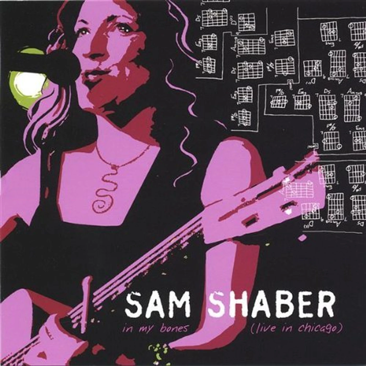 Sam Shaber IN MY BONES LIVE IN CHICAGO CD