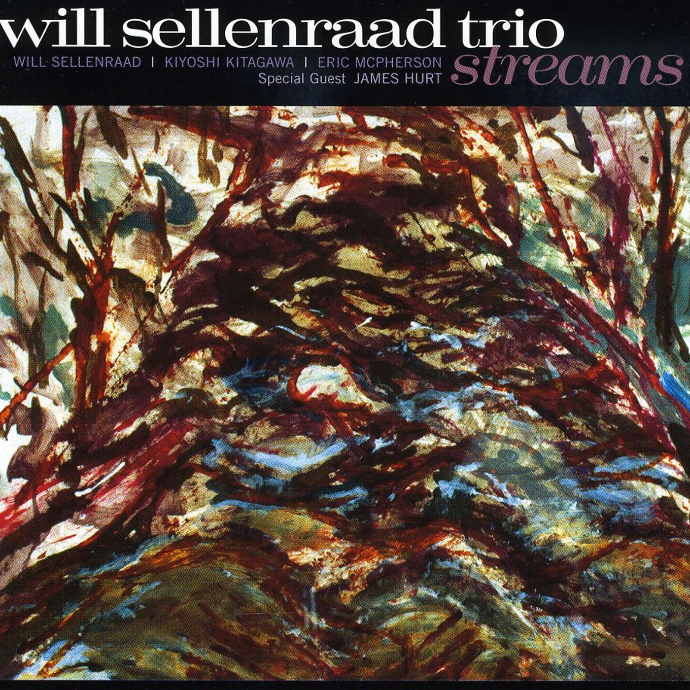 Will Sellenraad STREAMS CD