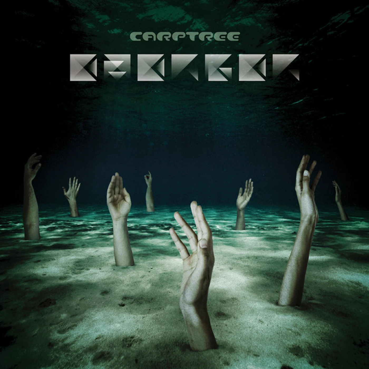 Carptree Emerger Vinyl Record