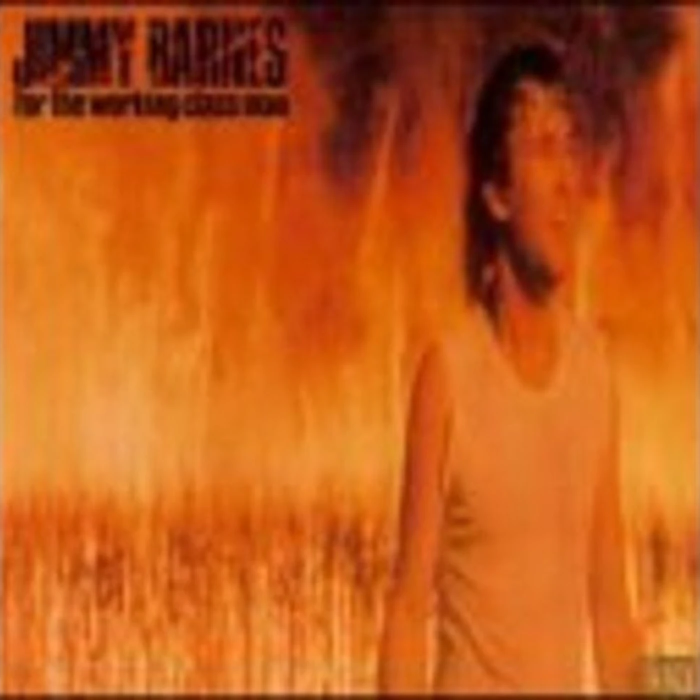 Jimmy Barnes FOR THE WORKING CLASS MAN (COMMEMORATIVE EDITION) CD
