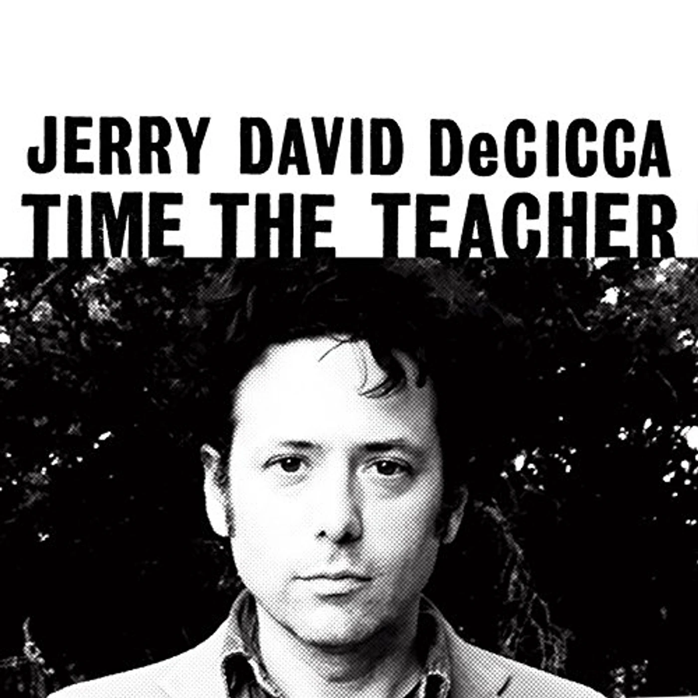 Jerry David DeCicca Time the Teacher Vinyl Record
