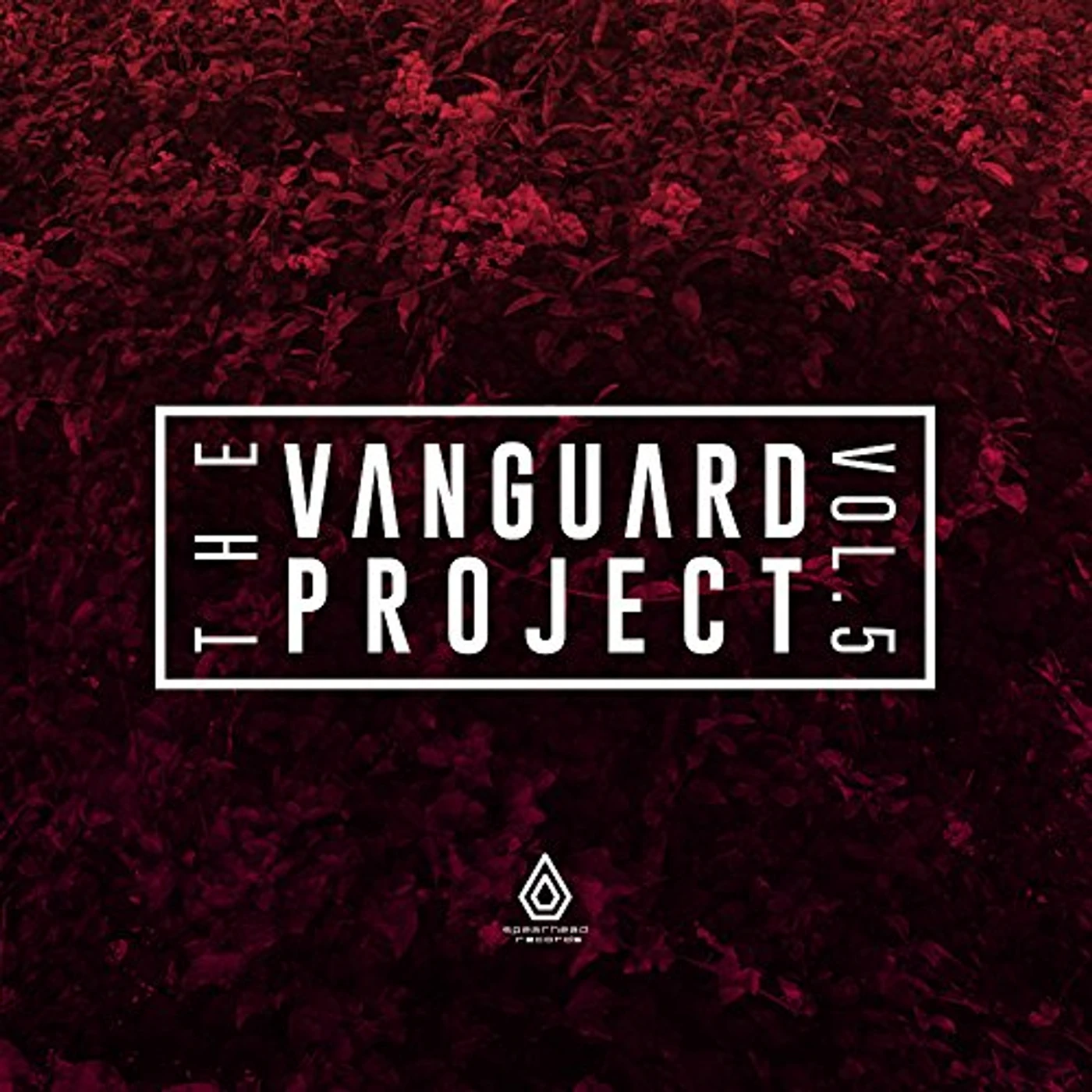 The Vanguard Project VOLUME 5 Vinyl Record