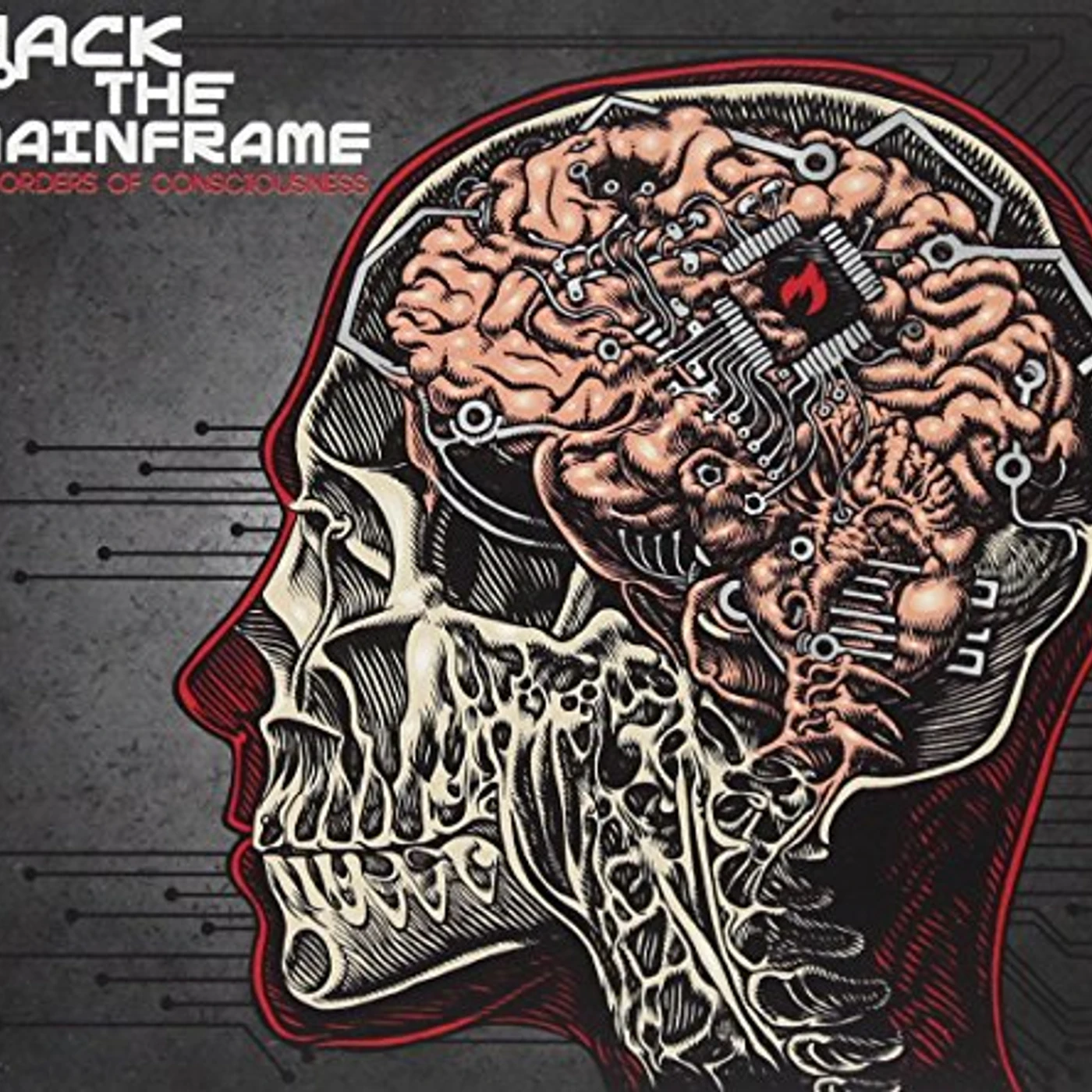 Hack The Mainframe Disorders Of Consciousness Vinyl Record