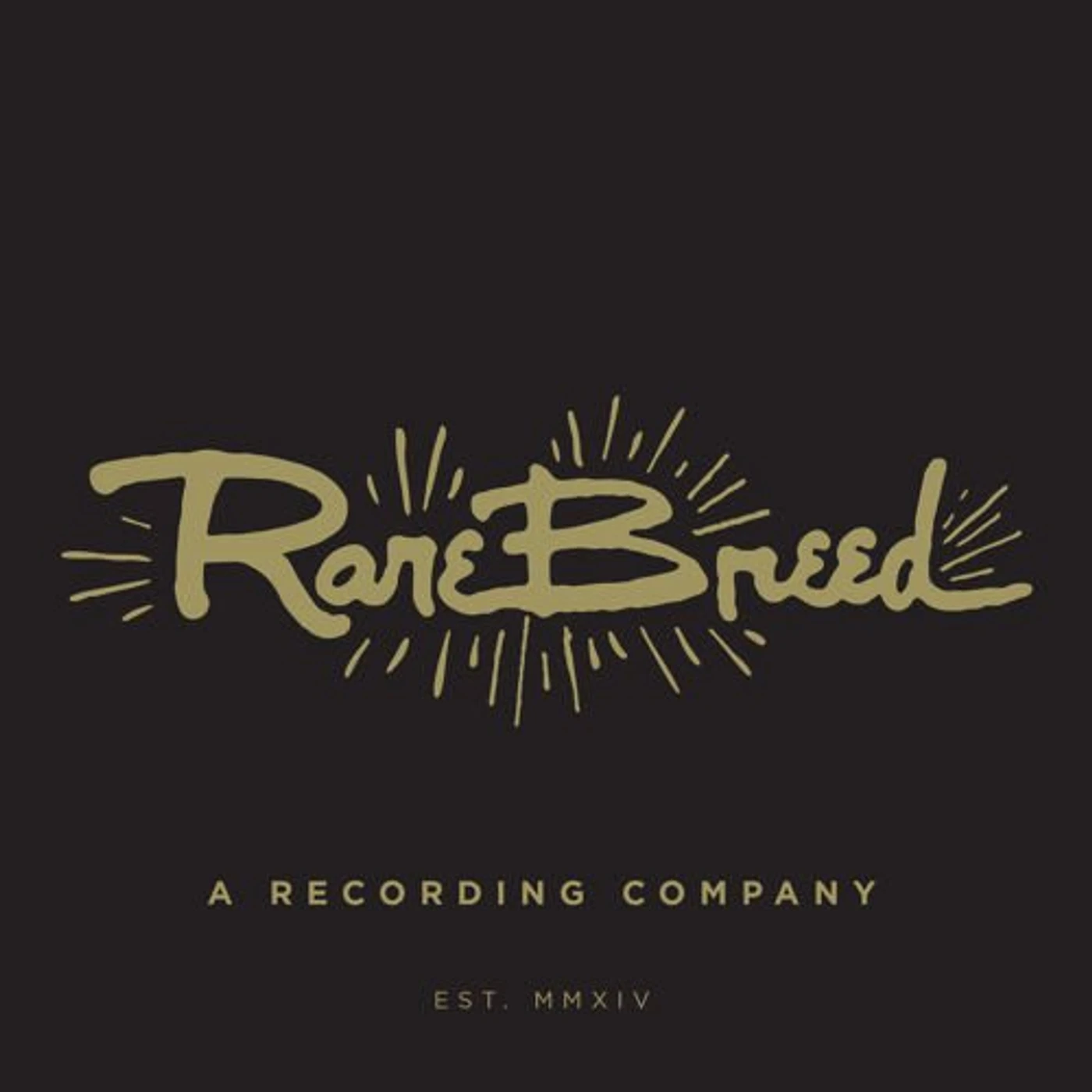 Matt Embree RARE BREED #5: FLEXI Vinyl Record