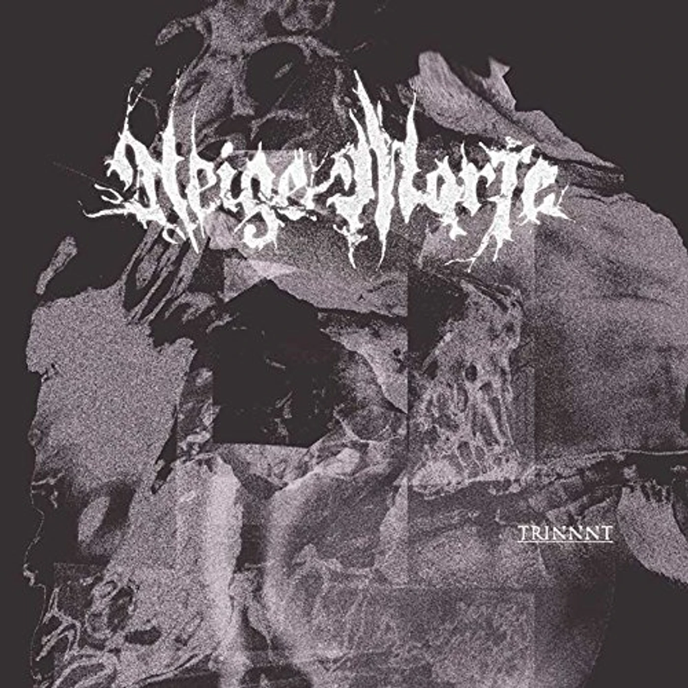 Neige Morte Trinnnt Vinyl Record