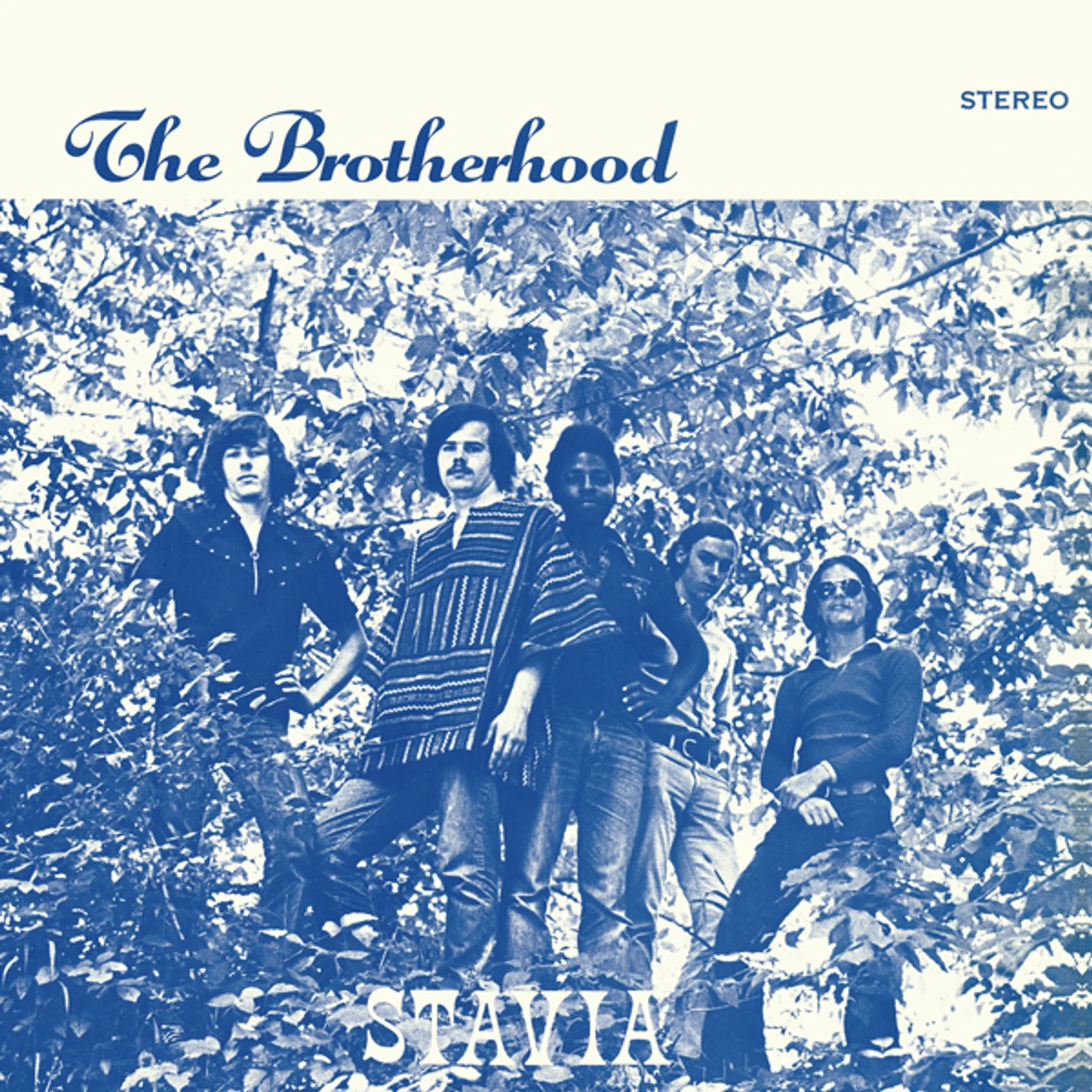 The Brotherhood Stavia Vinyl Record