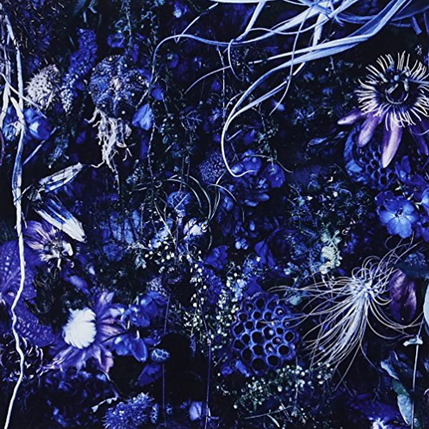 SUGIZO ONENESS M CD