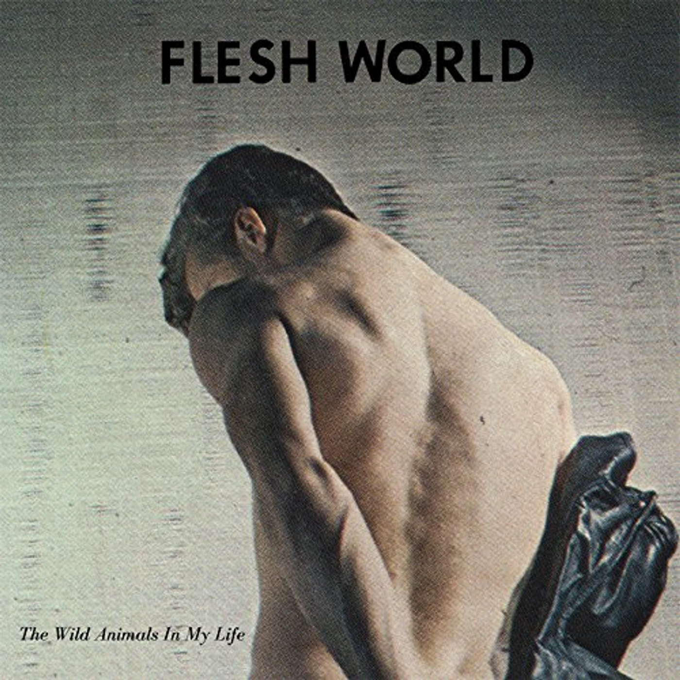 Flesh World WILD ANIMALS IN MY LIFE Vinyl Record