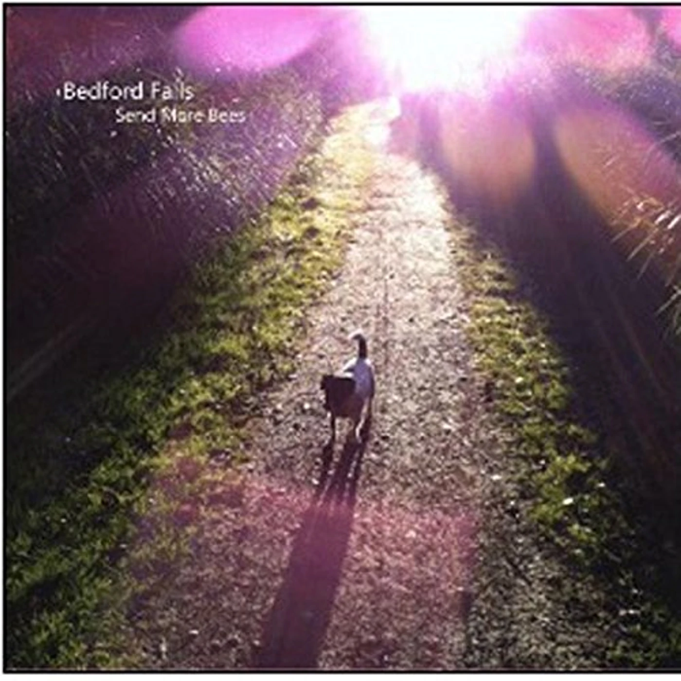Bedford Falls Send More Bees Vinyl Record