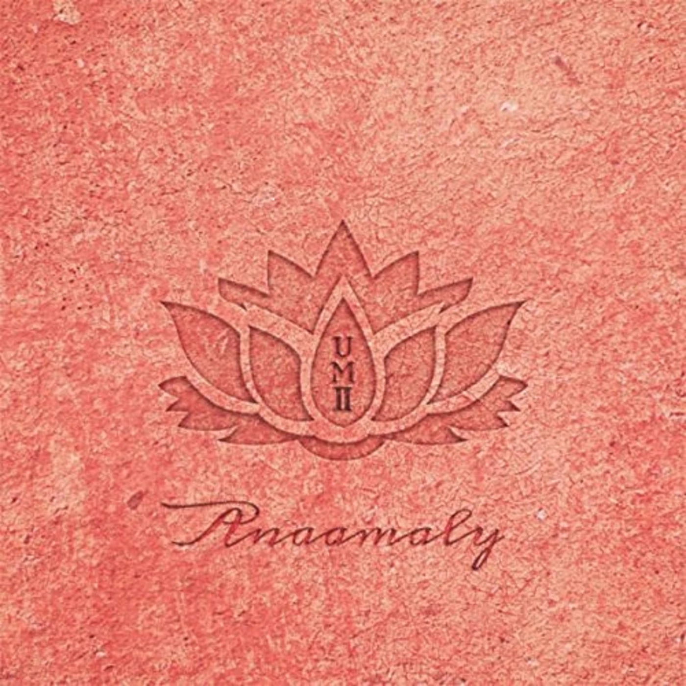 Anaamaly URBAN METTA 2 CD