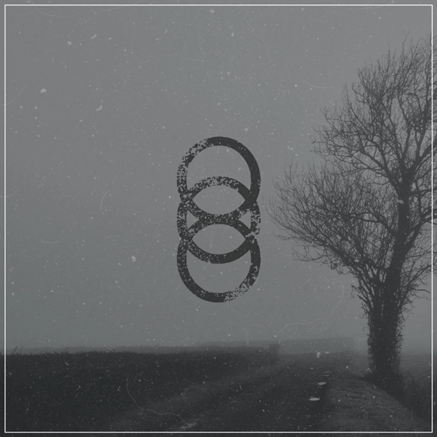 Hundred Year Old Man Rei Vinyl Record