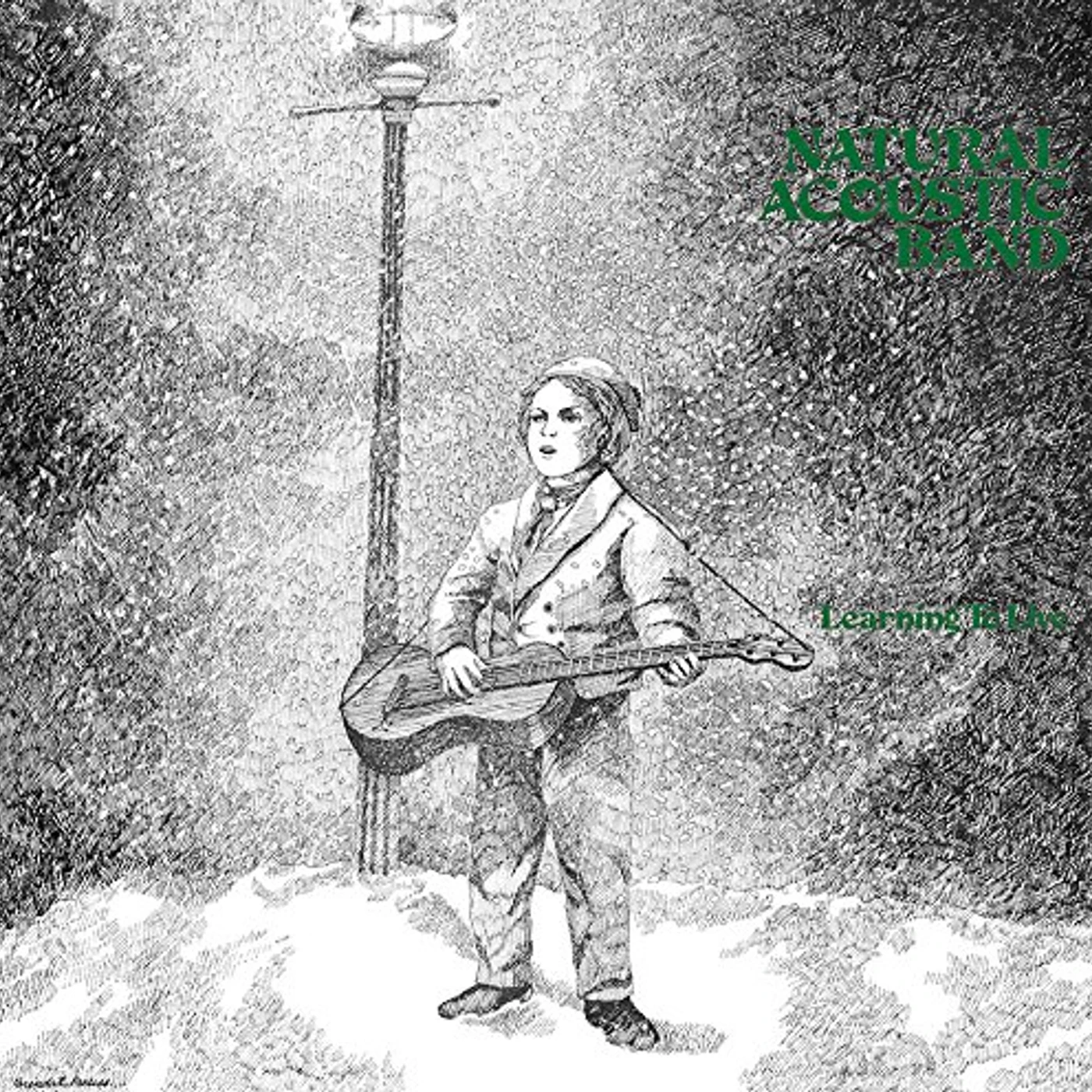 Natural Acoustic Band LEARNING TO LIVE CD