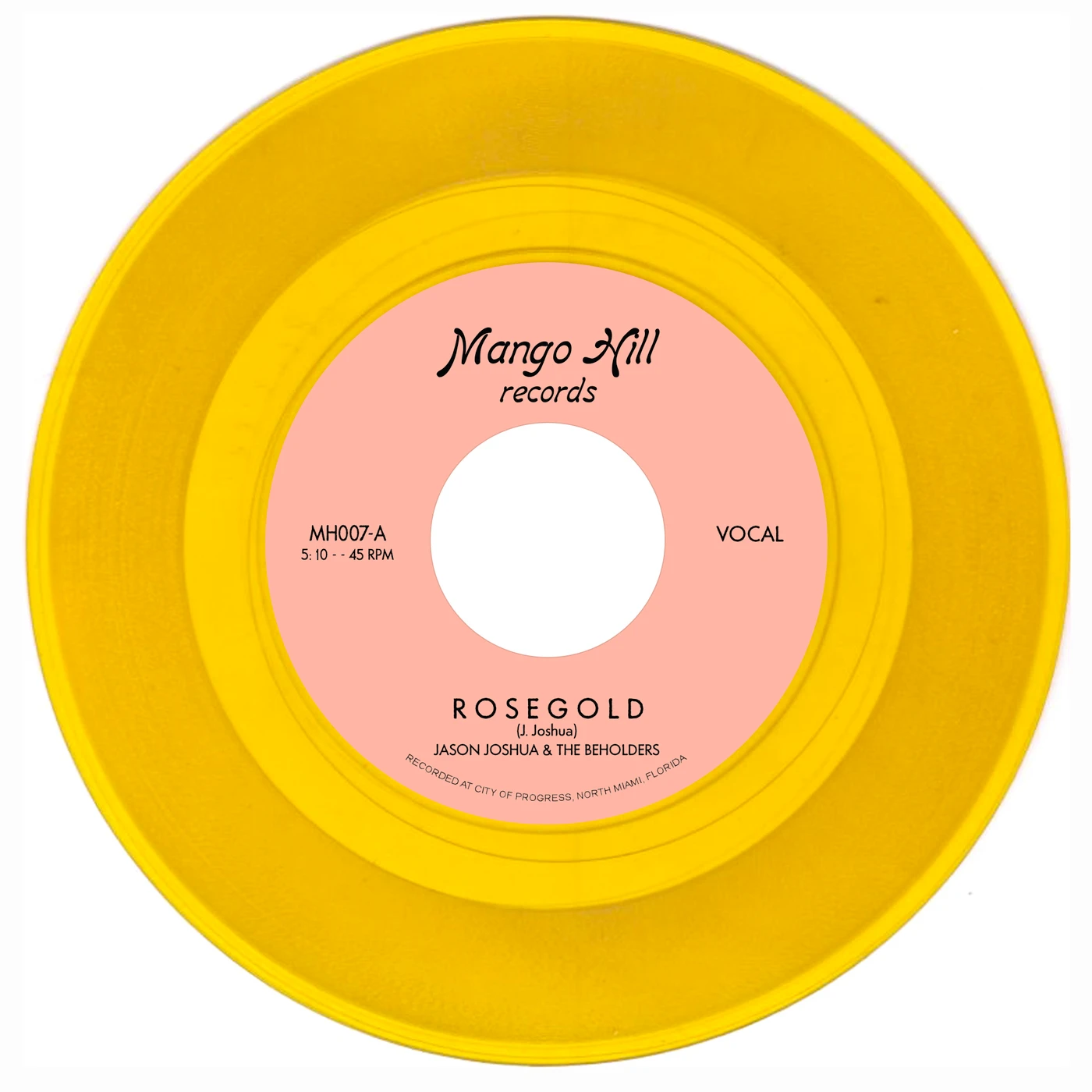 Jason Joshua & The Beholders Rose Gold Vinyl Record