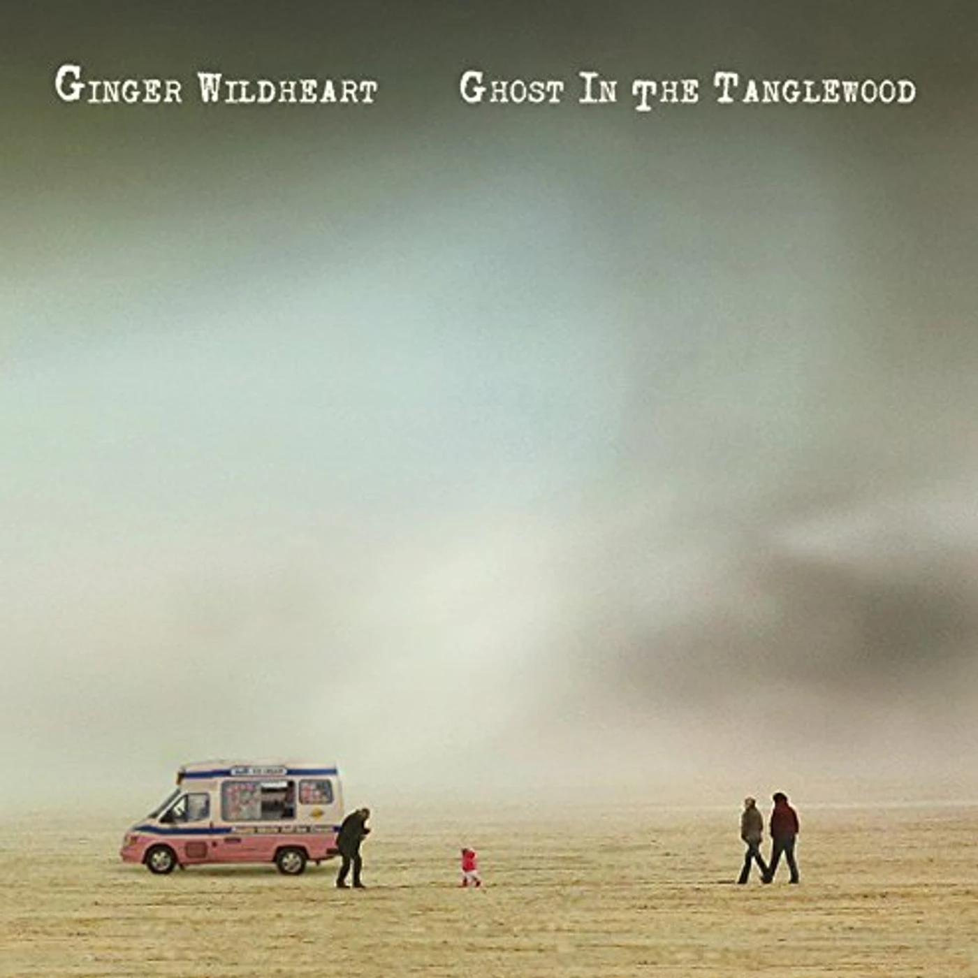 Ginger Wildheart GHOST IN THE TANGLEWOOD CD