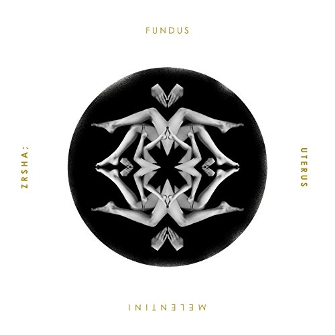 Melentini ZRSHA / FUNDUS UTERUS Vinyl Record