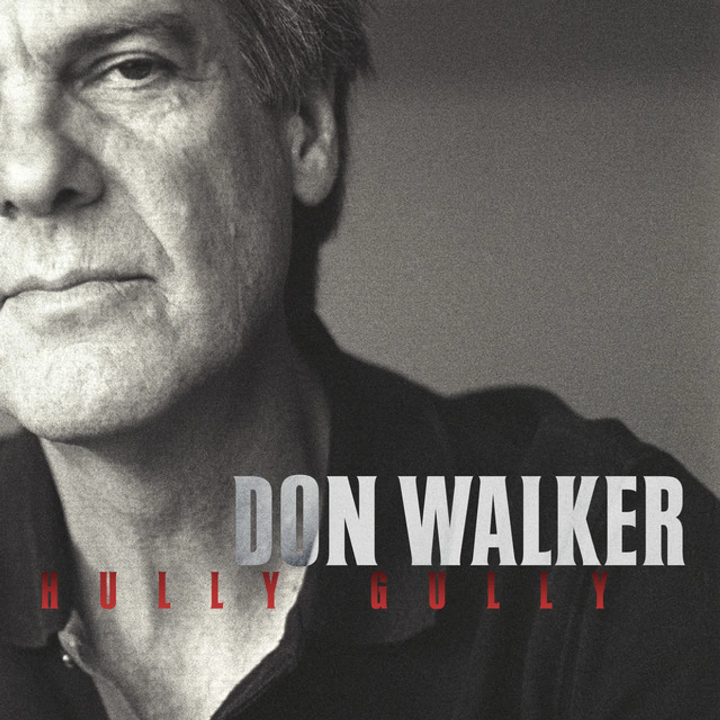 Don Walker Hully Gully Vinyl Record