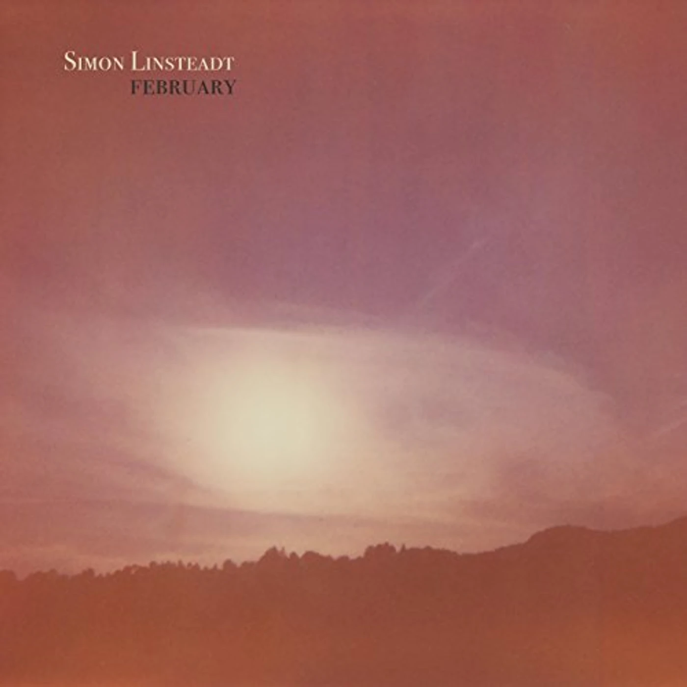 Simon Linsteadt FEBRUARY CD