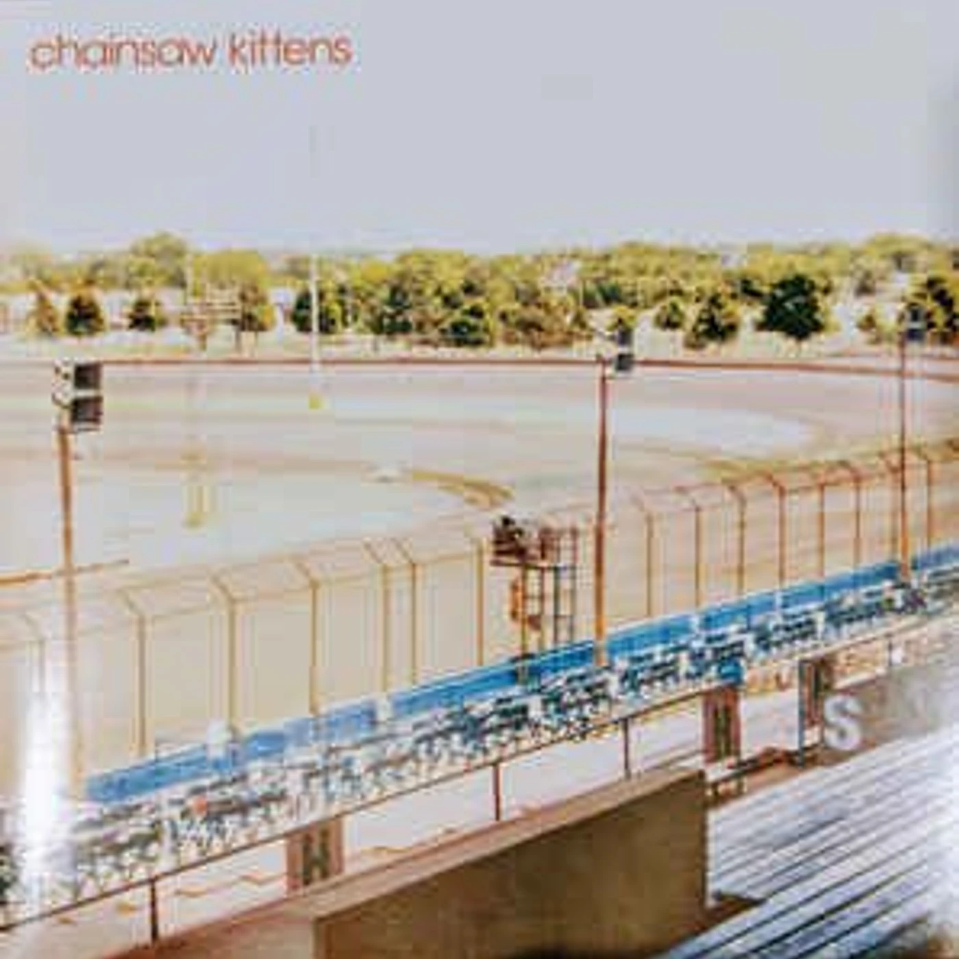 Chainsaw Kittens Vinyl Record